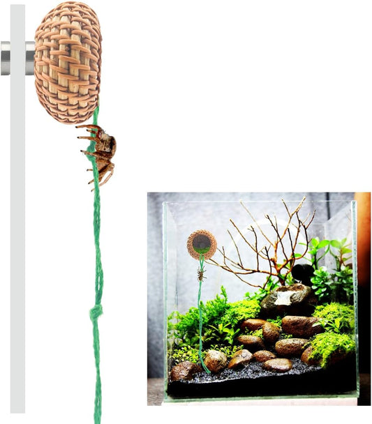 1 Pcs Jumping Spider Accessories，Shelter Made of Cane, Essential for Jumping Spider Hide, Enclosure, and Tarantula Enclosure Accessories