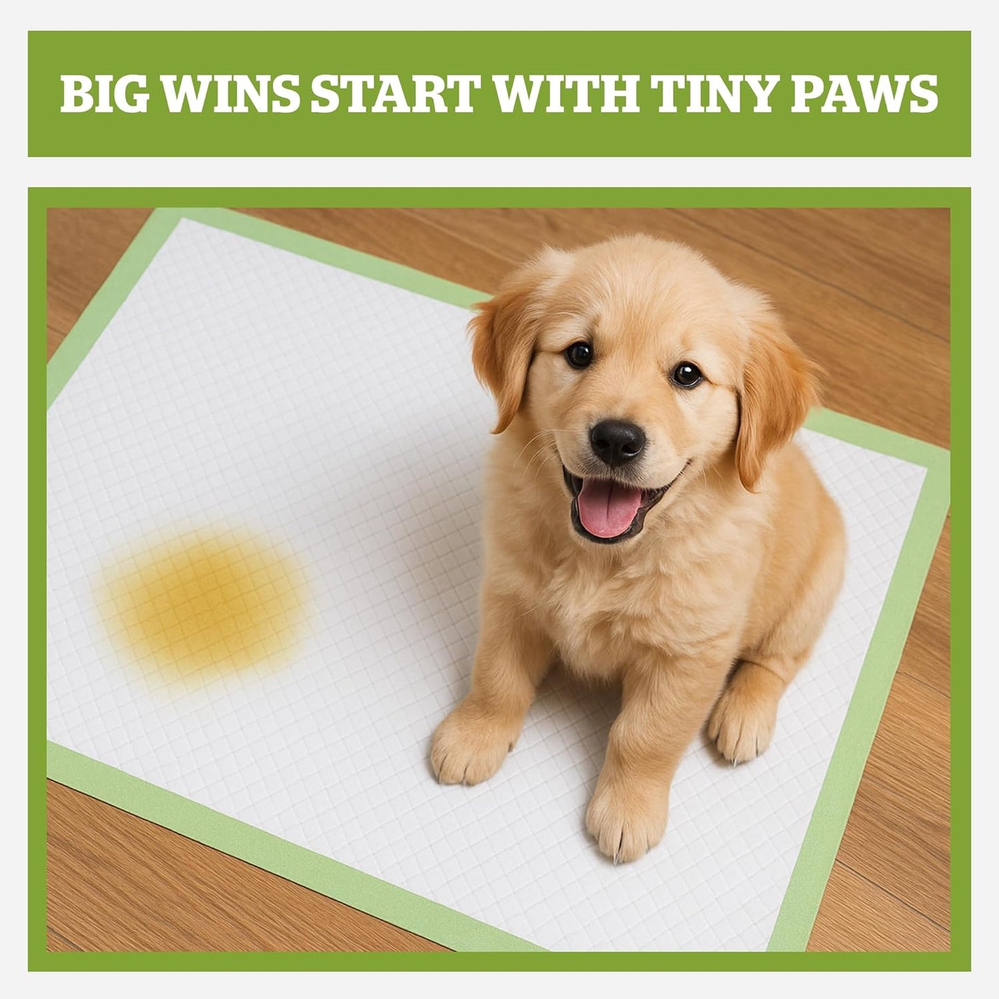 Pogi’s Puppy Pads with Sticky Tabs – Medium, Super Absorbent, Odor Blocking, 20-Count (18x24in)