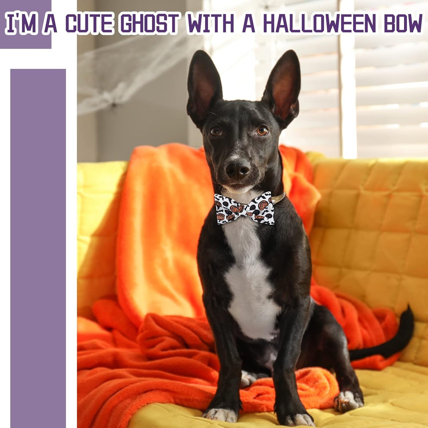 16 Pieces Dog Bow Ties Slide Dog Collar Bows Summer Hawaiian Styles Dog Collar Attachment Bows with Rubber Bands Dog Bow Ties for Large Dogs Spring Summer Grooming Independence Day (Horror Style)