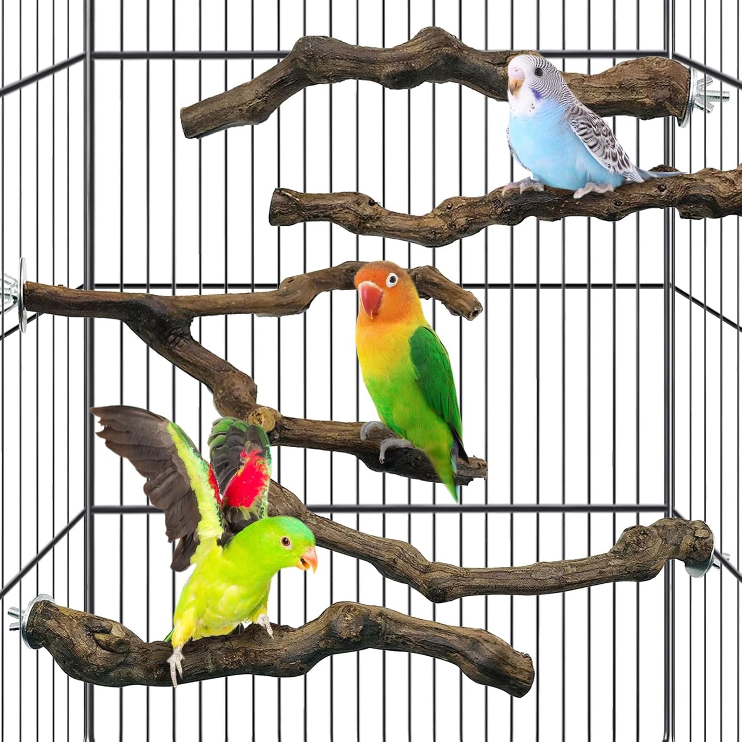 kathson 5pcs Natural Parrot Perch for Cage Wooden Bird Perches Grape Bird Stick Parakeet Climbing Standing Branches Toy Chewable Cage Accessories for Small Budgies Cockatiels Lovebirds Budgies