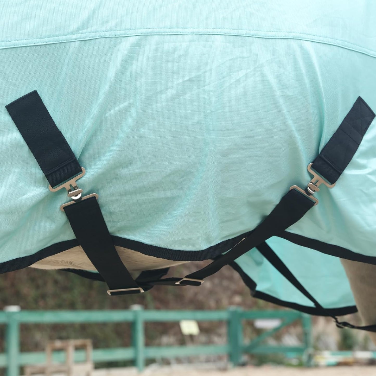 Horse Fly Sheet, Standard Neck Comfy Mesh Fly Sheet for Horses, Equine Summer Sheets UV-Protective Green 63