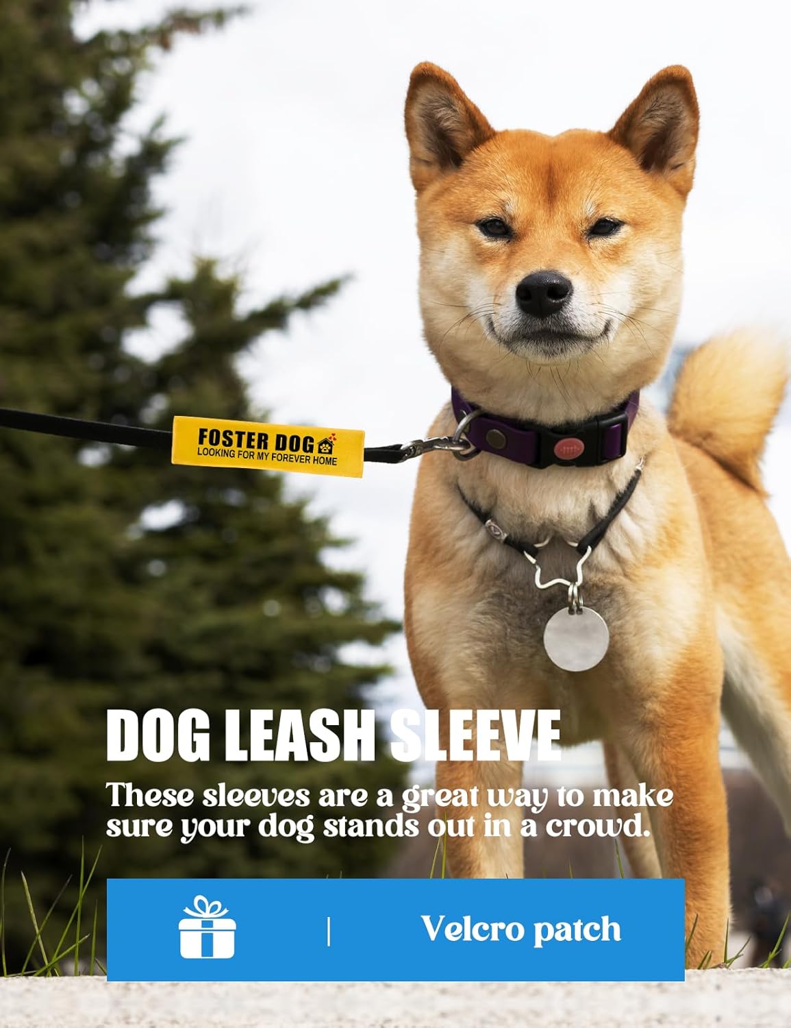 Foster Dog Looking for My Forever Home Dog Leash Sleeve, Funny Yellow Dog Leash Wrap Alert Hanging ID Patch Tag, Service Dog Leash Wrap Dog Pet Leash Sleeve Pet Birthday Gifts for Dog Owners