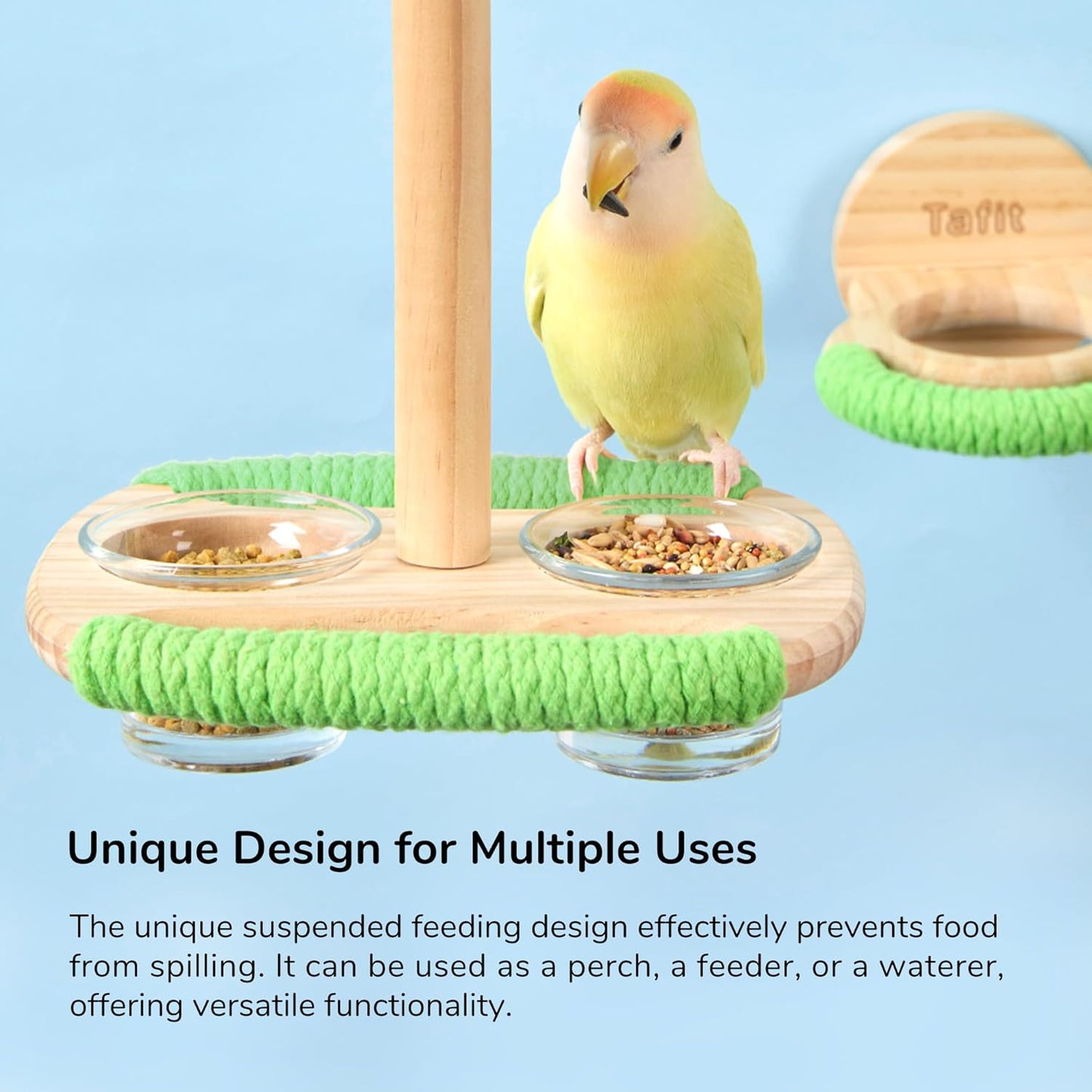 Bird Feeder & Perch – Includes Cotton Rope Perch and Glass Feeding Cup – Cage Accessory for Cockatiels, Budgies, Lovebirds, Conures, Canaries, Finches, and Small Parrots