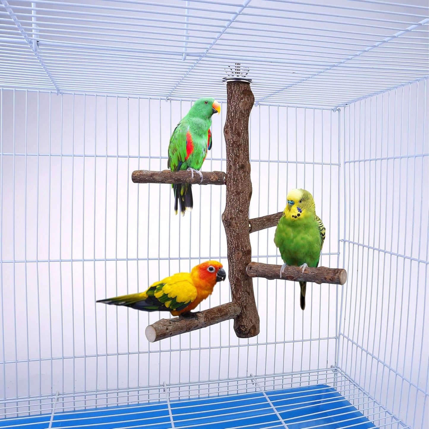 Bird Perch Stand Toy, Natural Wood Parrot Perch Bird Cage Branch Perch Accessories for Parakeets Cockatiels Conures Macaws Finches Love Birds(L: 13.8" Length)