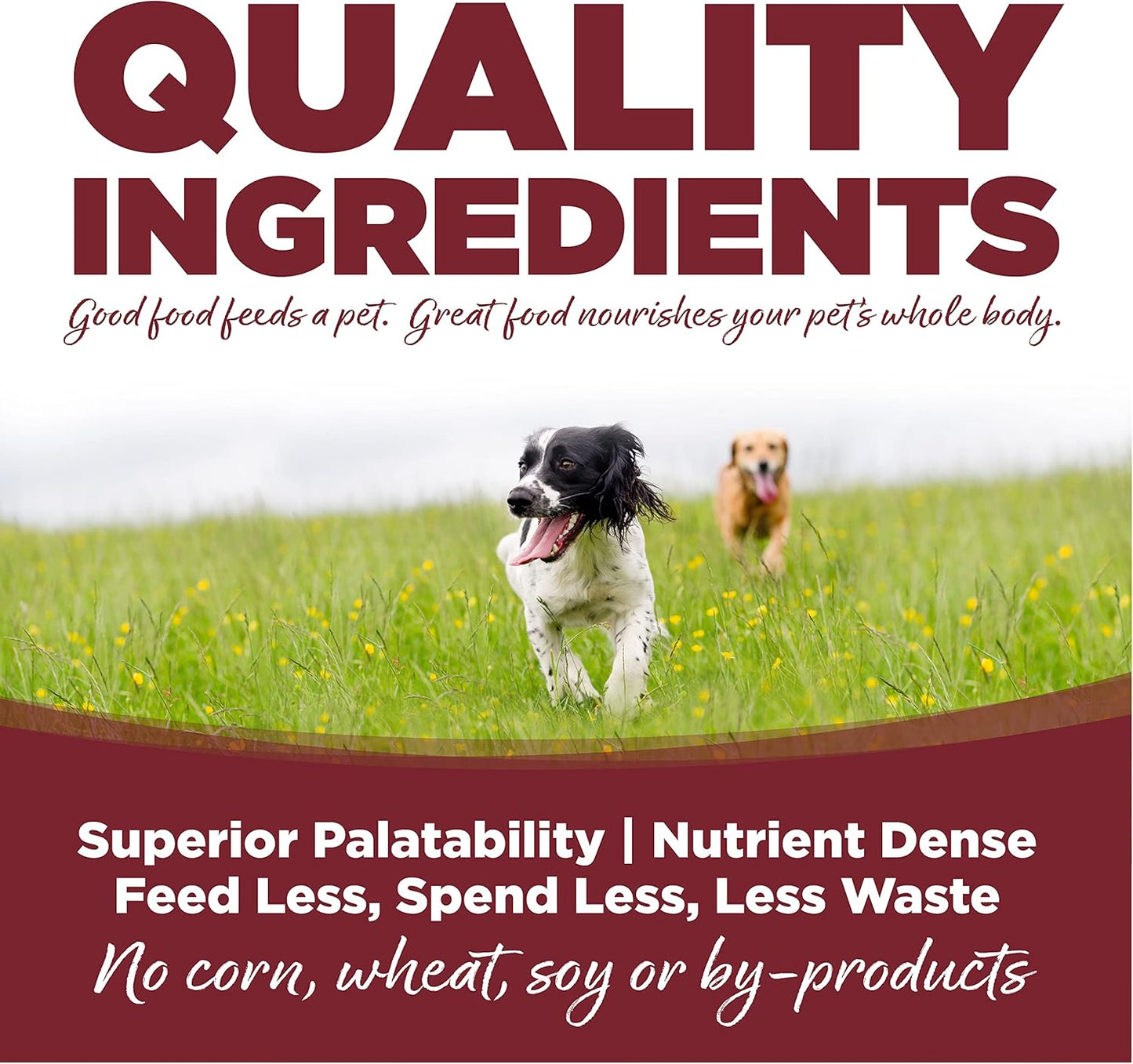 NutriSource Dog Food, Made with Beef and Brown Rice, with Wholesome Grains, 30LB, Dry Dog Food