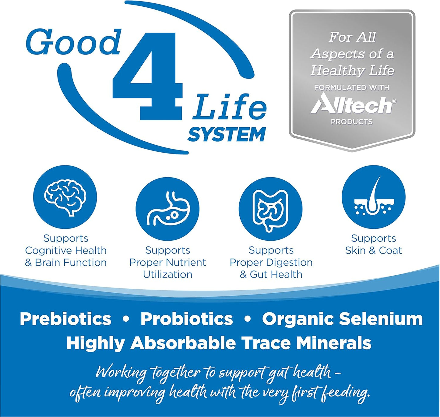 NutriSource Adult Dog Food, Made with Chicken and Rice, Large Breed, with Wholesome Grains, 30LB, Dry Dog Food