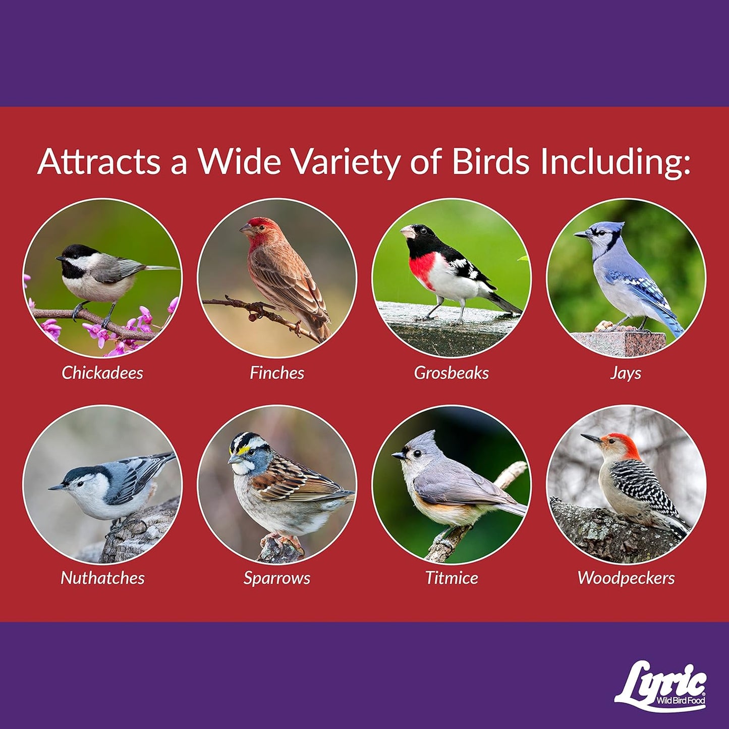 Lyric Delite Wild Bird Seed - No Waste Bird Food Mix with Shell-Free Nuts & Seeds - Attracts Buntings, Chickadees & Finches - 20 lb bag