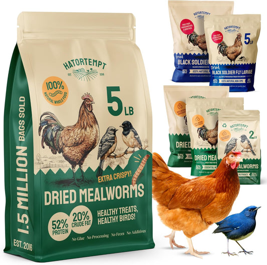 Chicken Feed Dried Mealworms - 5 Lb, Non-GMO & Organic - High-Protein Mealworms for Wild Birds & Ducks, Chicken Treats & Bird Food