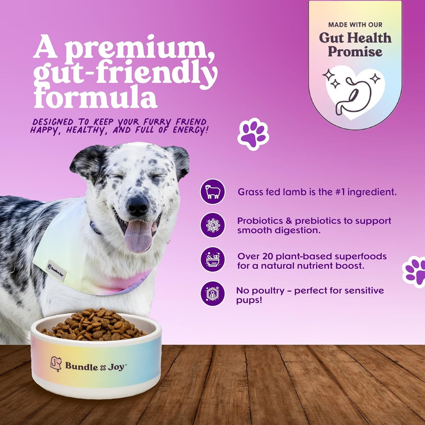 Brave Probiotic Dog Food Dry, Lamb, 18lb Bag, Natural Grain Free Adult Kibble for Digestive Health Made with Real New Zealand Lamb, 20 Plant Based Superfoods, Corn, Poultry & Soy Free