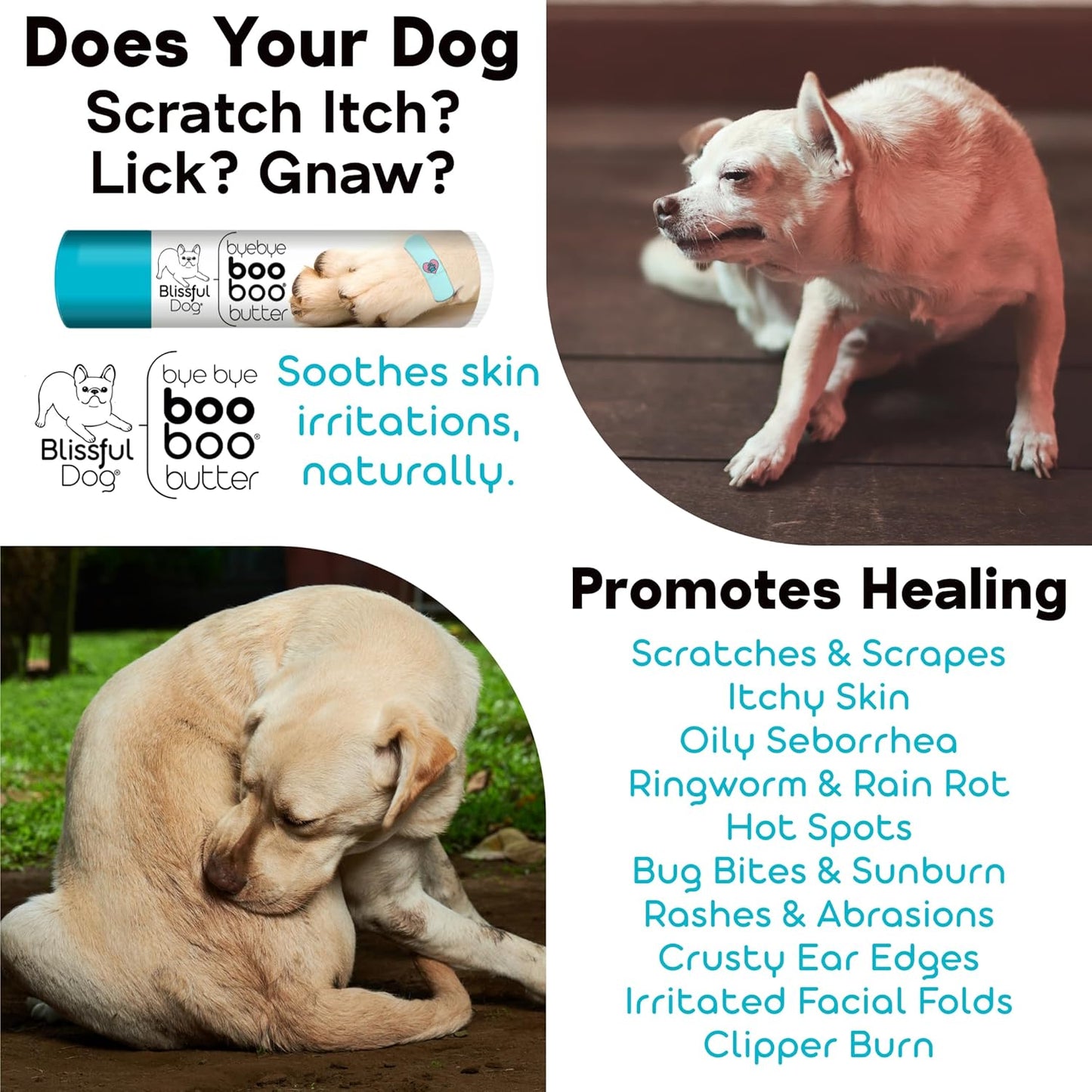 The Blissful Dog Leonberger Boo Boo Butter, 0.15-Ounce