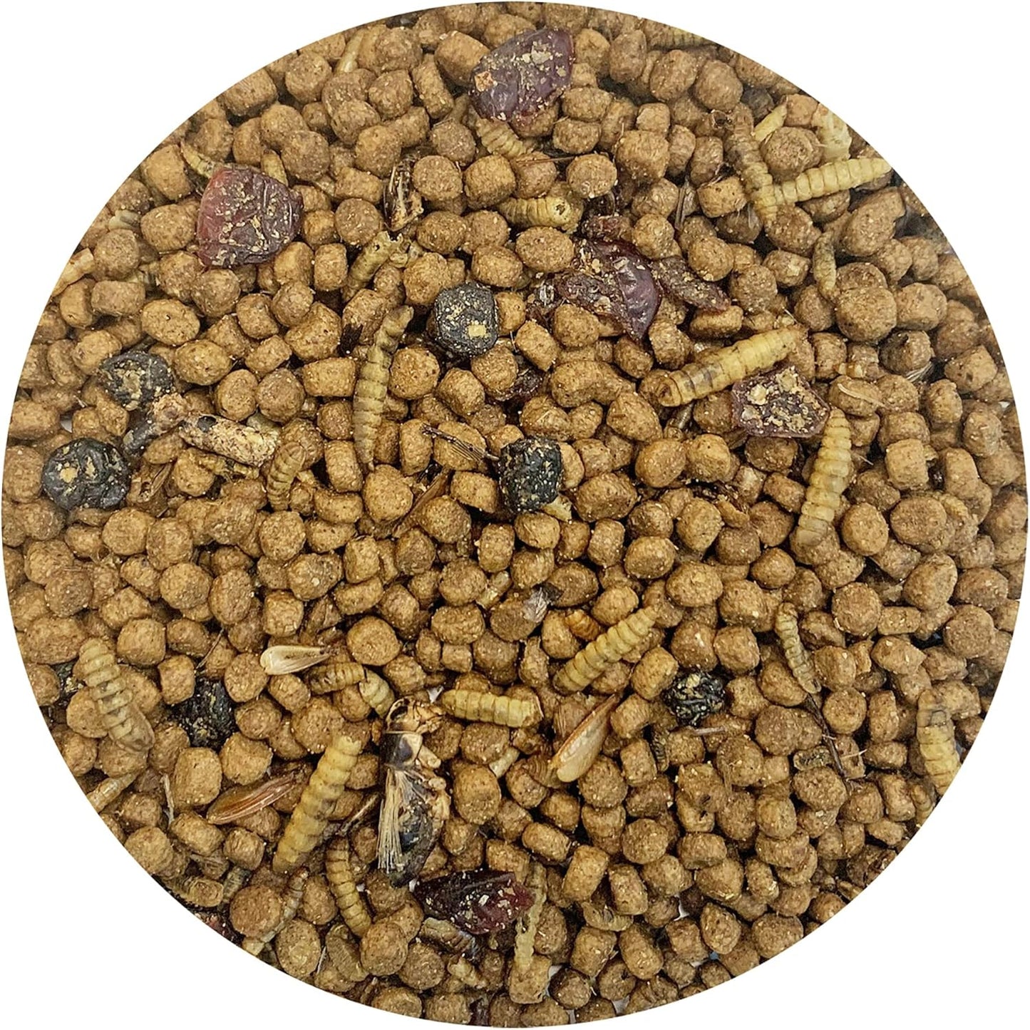Berries & Bugs 3 lb. - All Natural High Protein High Fiber Insectivore Diet with Fruit, Gut-Loaded Insects, & Healthy Vitamins - Hedgehogs, Sugar Gliders, Skunks, Opossums & Other Insectivores